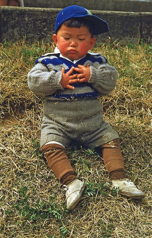 1953 Japan 148 Sakura Day 1953.jpg